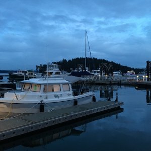 Media 'Short days in late December' in album 'Heading out for a late December trip to Friday Harbor'