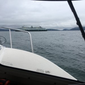 Ferry's are sometimes the only other boats on the water this time of year.
