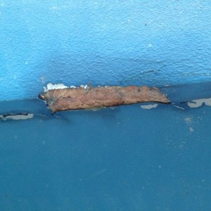Media 'hull damage starboard' in album 'hull damage starboard'