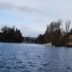 C-Daisy at the end of the Montlake Cut.