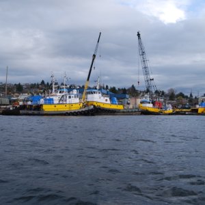 More tugs for Tim.