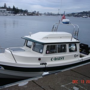 C-DAISY