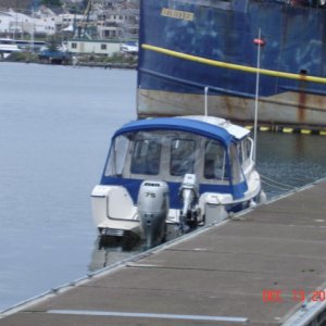 Media 'Late arrival JENNY G' in album 'Great white in Lake Washington (an interesting mooring buoy).'
