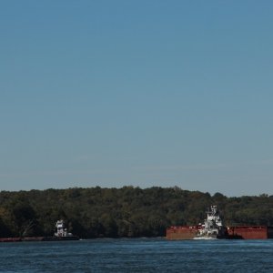 Media '' in album 'Kentucky Lake 2016'