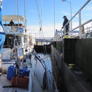 Media 'Ballard Locks' in album 'Permagrin At Victoria'