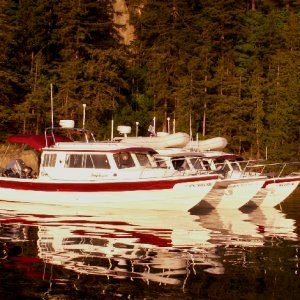 Daydream, Traveler and Anna Leigh at Chuckanut Bay 5-24-09