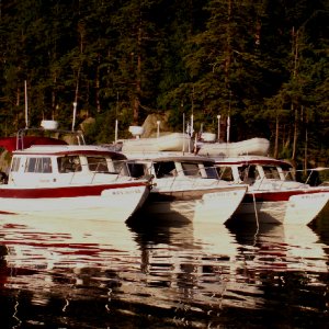 Daydream, Traveler and Anna Leigh at Chuckanut Bay 5-24-09