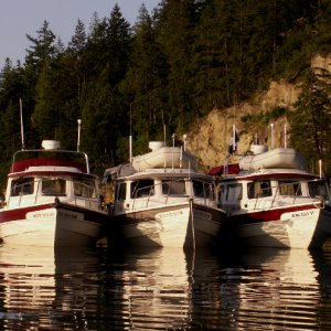 Daydream, Traveler and Anna Leigh at Chuckanut Bay 5-24-09