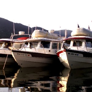 Daydream, Traveler and Anna Leigh at Chuckanut Bay 5-24-09