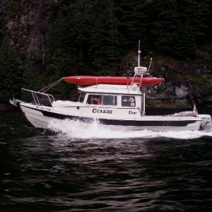C-Cakes Running in Indian Arm 6-7-09.Sized