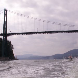 C-Cakes Under Lions Gate Bridge 6-6-09.Sized