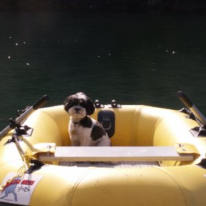 Baxter in Dinghy at James Island 6-27-09