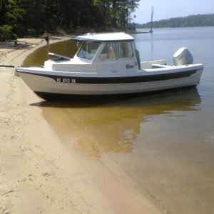 FireFly at Jordan Lake