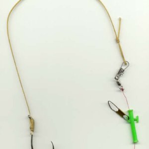 sturgeon rig.jpg