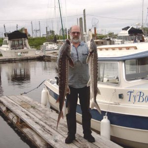 TyBoo fish 1.jpg