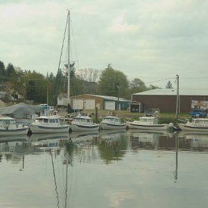 Cathlamet, 2003