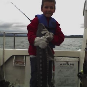 Austin 50incher