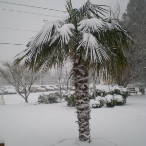 DSCN0565