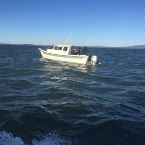 IMG 7994