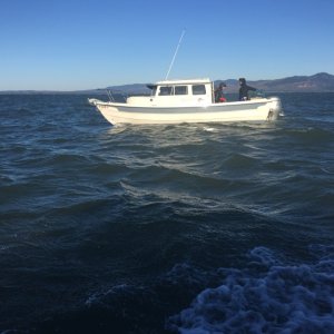 IMG 7995