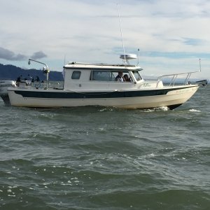 IMG 0575