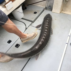 IMG 7430