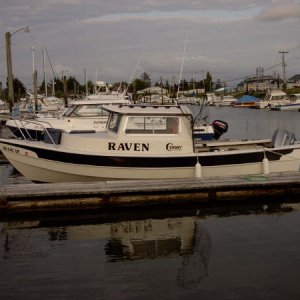 Raven at dock.jpg