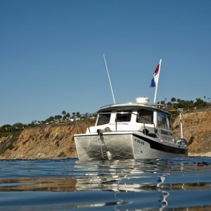 NoPressureDSC 0642
