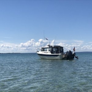 15 Mullett Lake MI