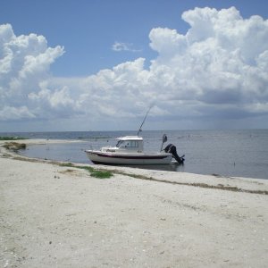 Media 'Beautiful Half Moon Island in Mississippi Sound' in album 'We took a Sunday cruise on Lake Pontchartrain and stopped for a while on this beach. Since the fish weren't biting, due to the spillway opening, we picked blackberries instead.'