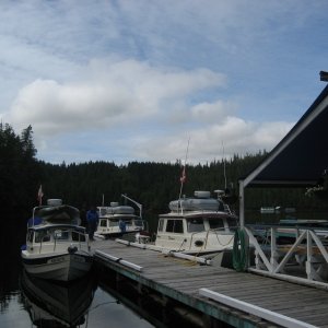 Shawl Bay Marina C-Dorys