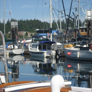 Media 'Alert Bay Marina  moorage' in album 'Tsawwassen Ferry Terminal'