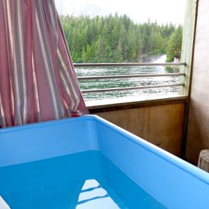Baranof Warm Springs.  Very clean, new tubs at the bath house.  We are warmer (and cleaner) than we have been in three months!)
