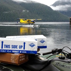 The Highliner Lodge in Pelican seems to be a great place to go for a fishing adventure.  The halibut and salmon photos were from their charters.  They were cleaning fish and packing 100's of pounds of filets in boxes to ship via float plane back with their guests.