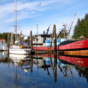 Elfin Cove\'s very active tender Pavlof.  Very educational experience just watching all the activities aboard