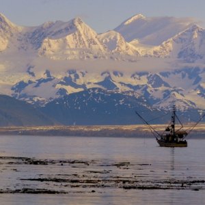 Mt. Fairweather as we are leaving Elfin Cove