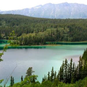 Emerald Lake.  Jewel of the Yukon.  Photo doesn't do it justice.