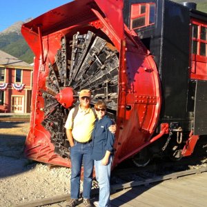 Ice and snow removal system for the train