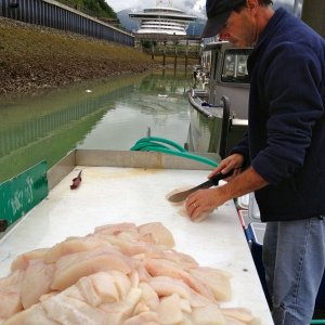 This guy caught a LOT of Halibut!