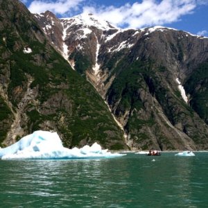 Tracy Arm