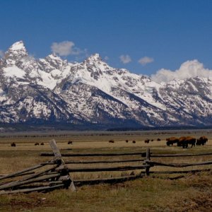 Grand Tetons