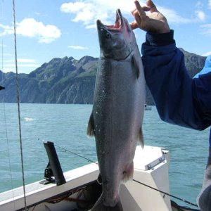 nice catch 8-06