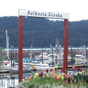 Seldovia harbor 8-06