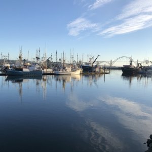 Newport Fishing Fleet