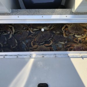 Newport Bay Crabbing 10/13/22 (on our other boat)