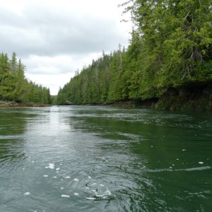 Entrance to Biscuit Bay from Hunters Bay