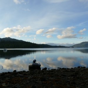 Port Refugio Suemez Island