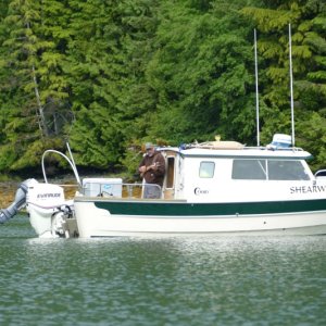 Media 'Mable bay music' in album 'Ready to head out for Prince Rupert'