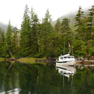 Media 'Coco bay anchorage' in album 'Ready to head out for Prince Rupert'