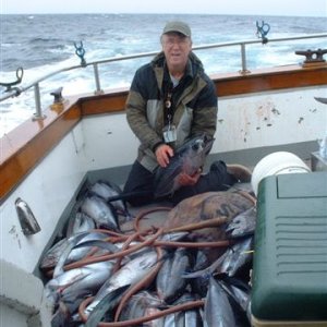 Tuna 60 miles off SF...boat total 113 Albacore for six anglers average 15 to 35 pounds